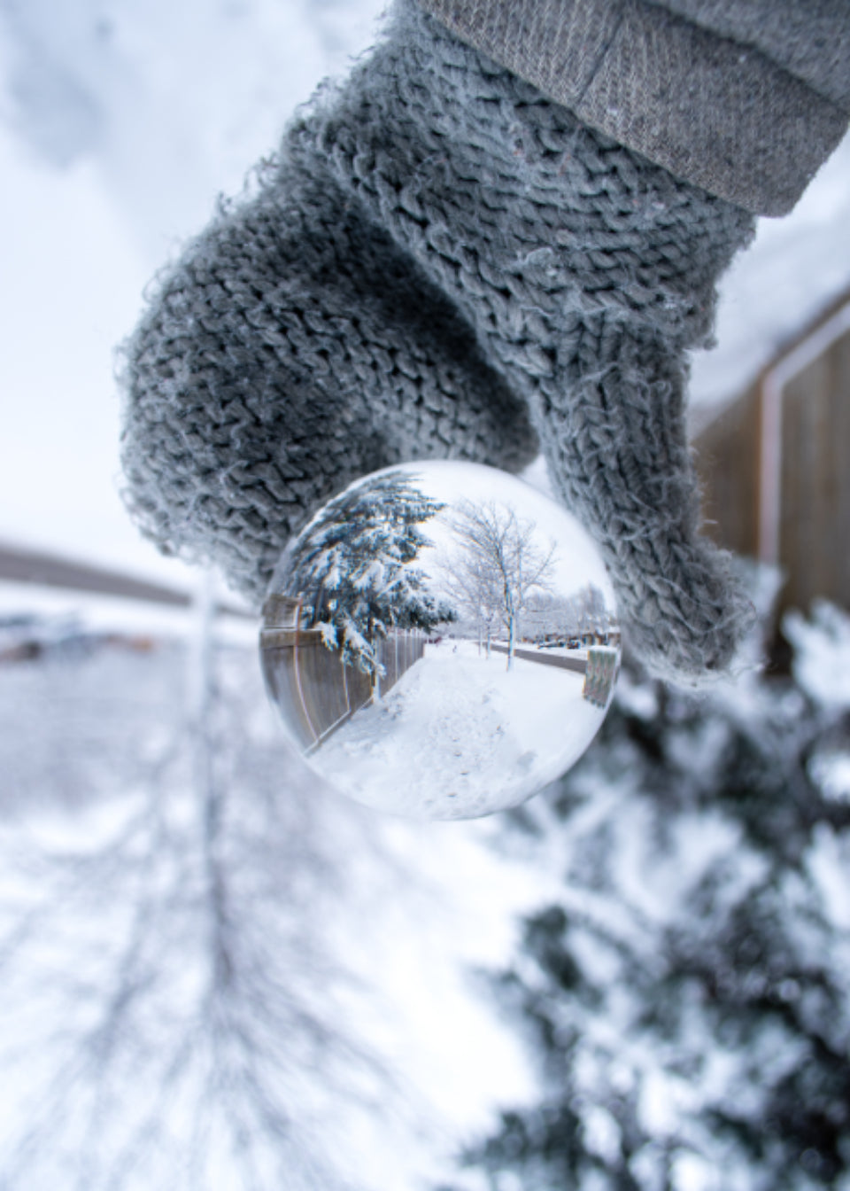 Winter Warmers