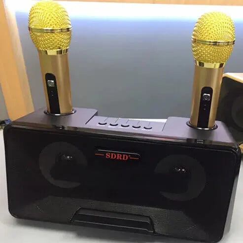 Wireless Live Dual Microphones with Bluetooth Speaker